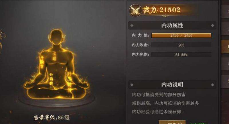 无内功传奇私服攻略：角色、装备、战斗与团队合作